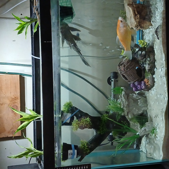 Meet the Posher/About the Seller - Picture 3 of 9